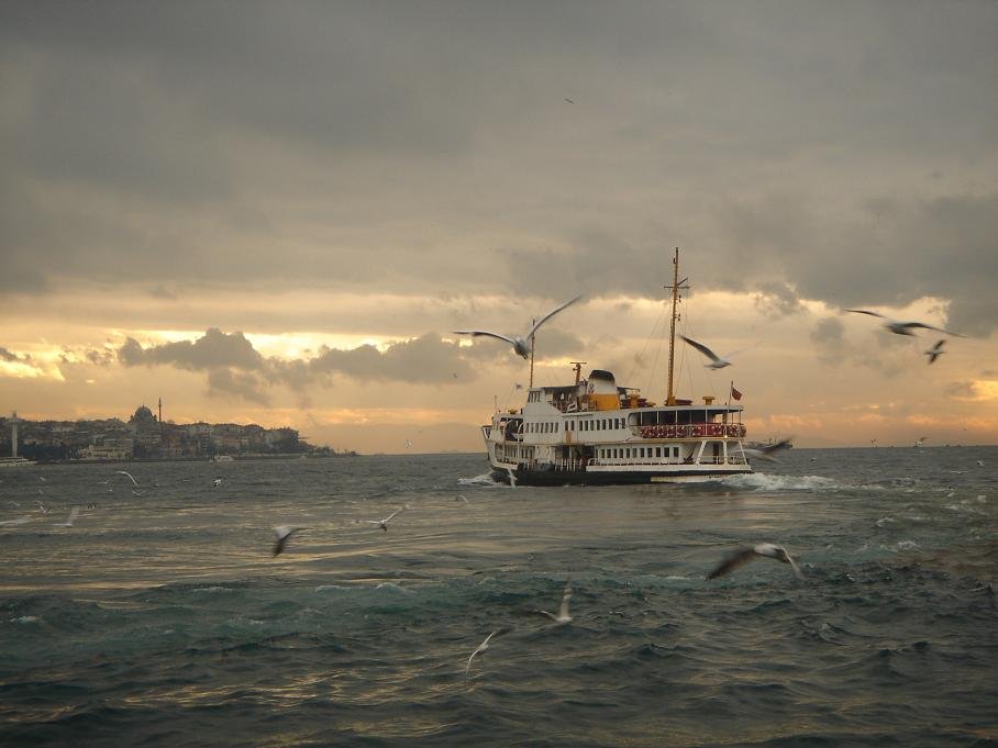 Meeuwen volgen een veerboot die over de Bosporus in Istanbul vaart