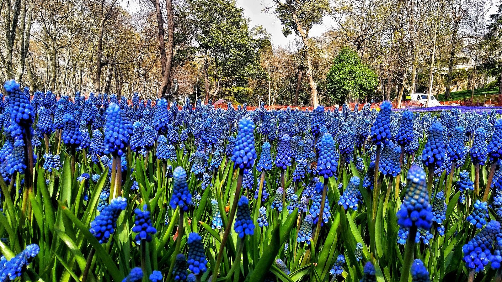 Wandelpad met bloemperken en hoge bomen in het Gulhane Park, Istanbul