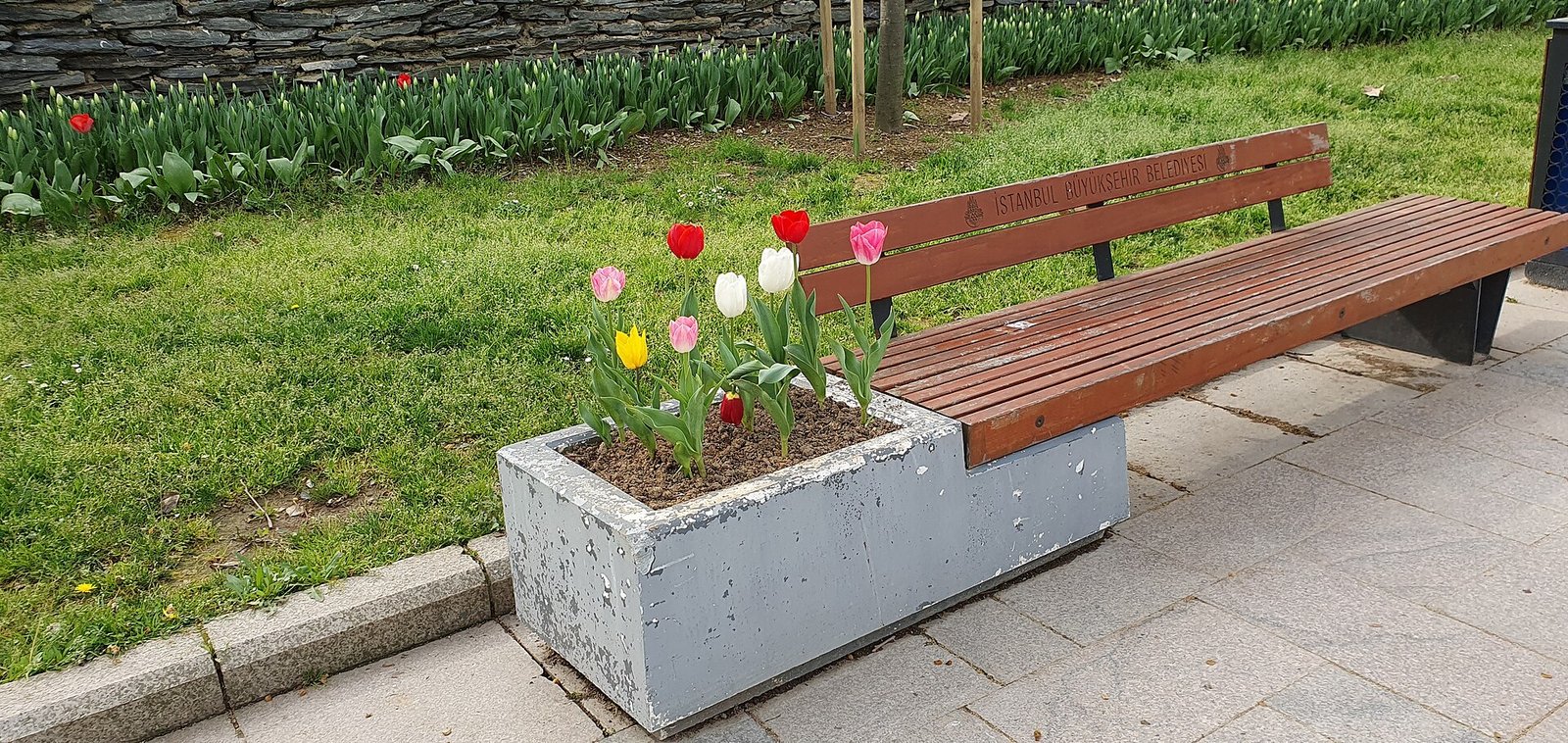 Tulpenperken langs de wandelpaden van Gulhane Park in het voorjaar